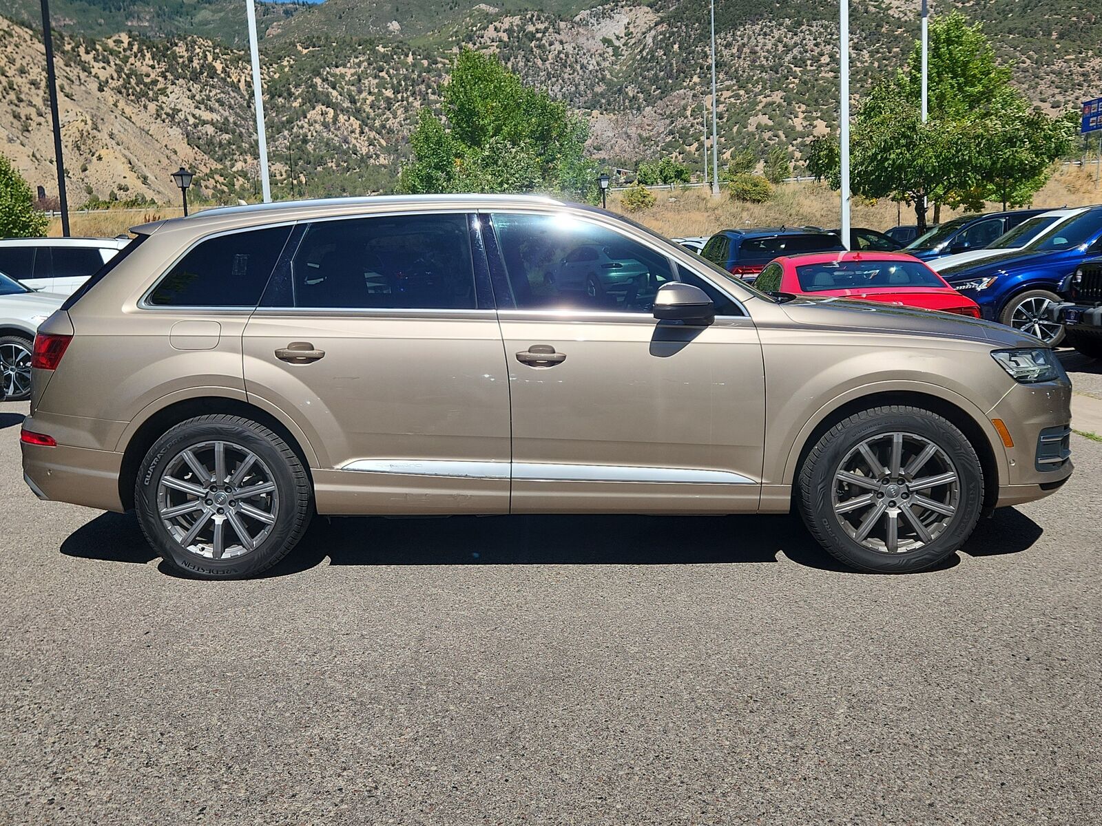 2019 Audi Q7