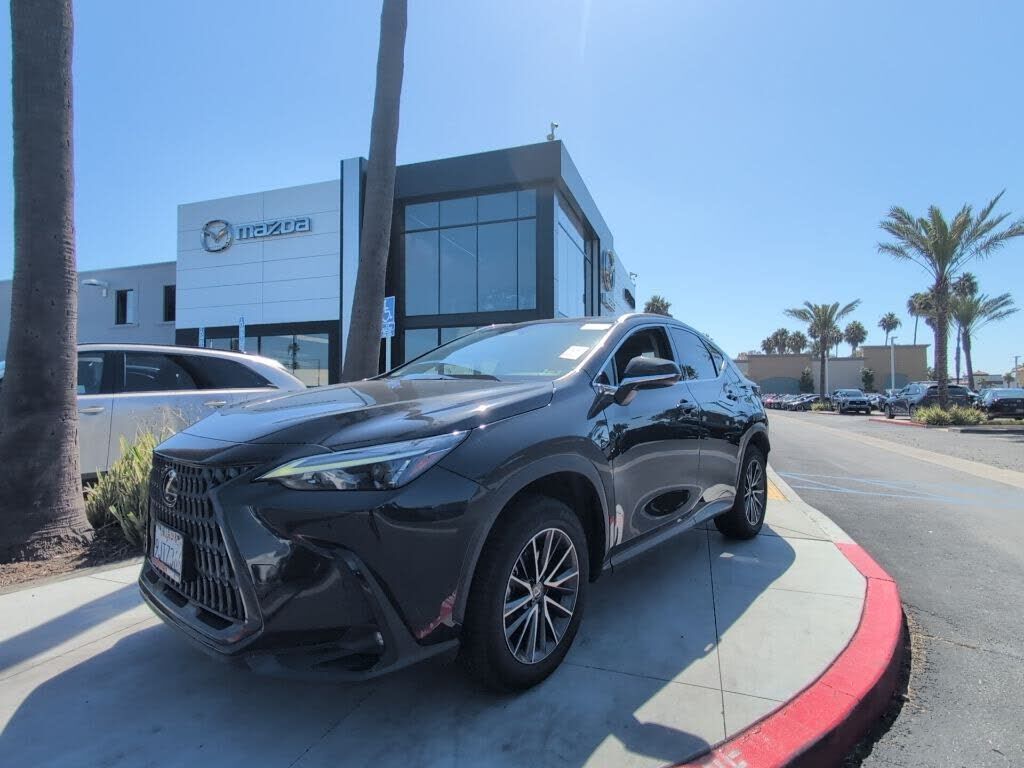 2024 LEXUS NX