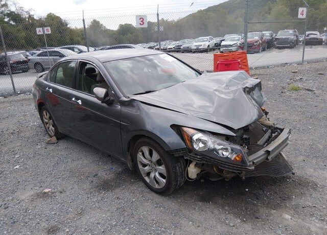 2010 HONDA Accord
