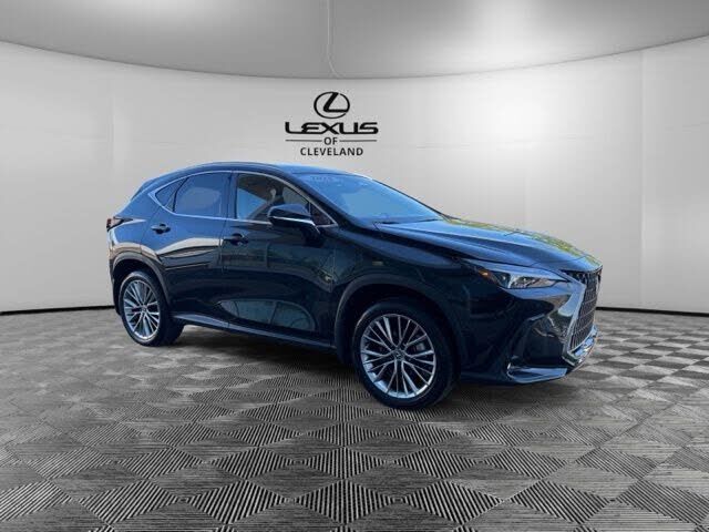 2025 Lexus NX