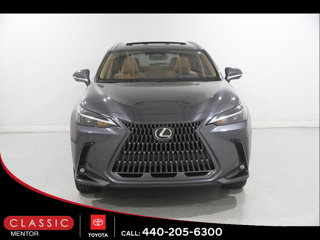 2025 Lexus NX