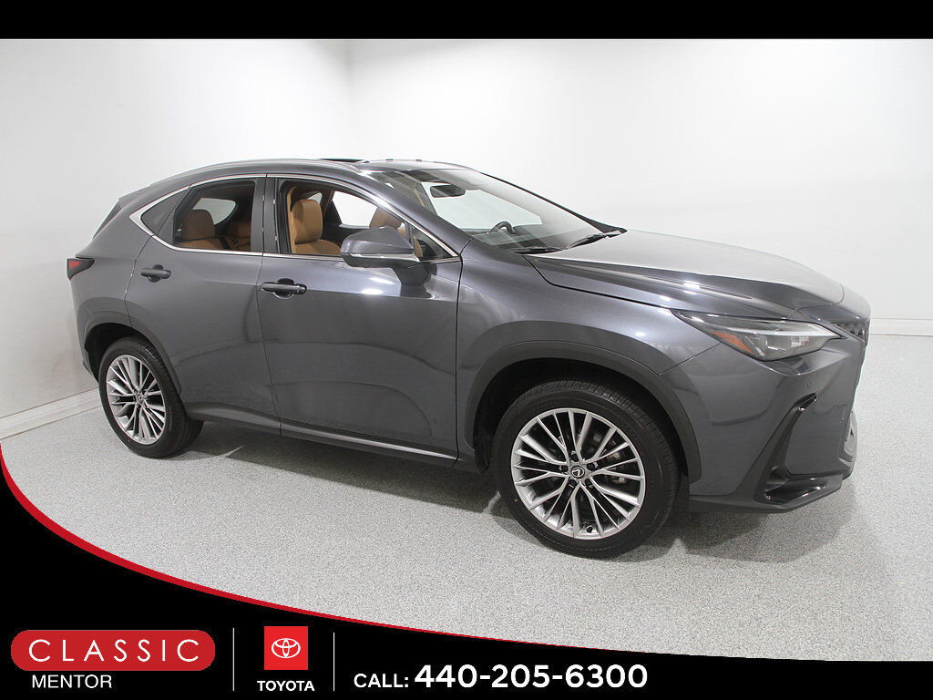 2025 LEXUS NX