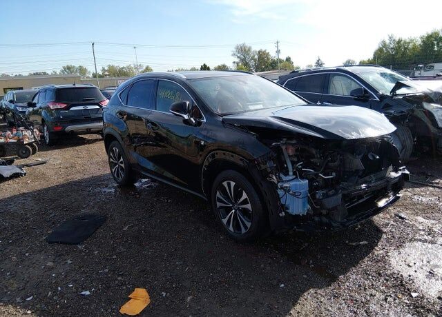 2020 LEXUS NX