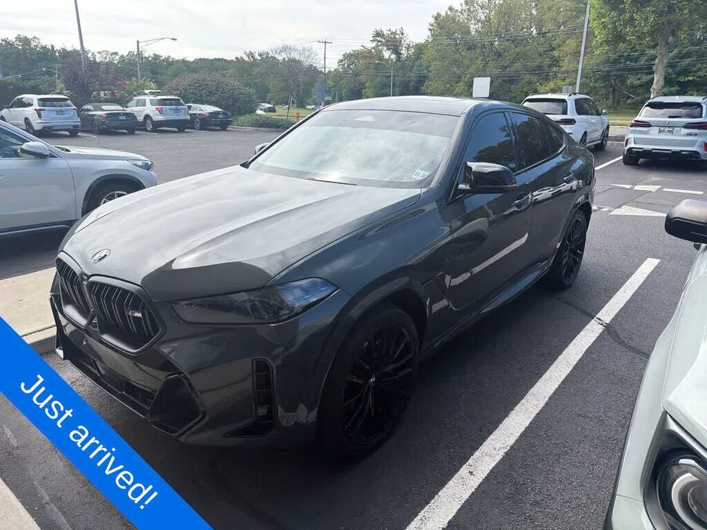 2024 BMW X6