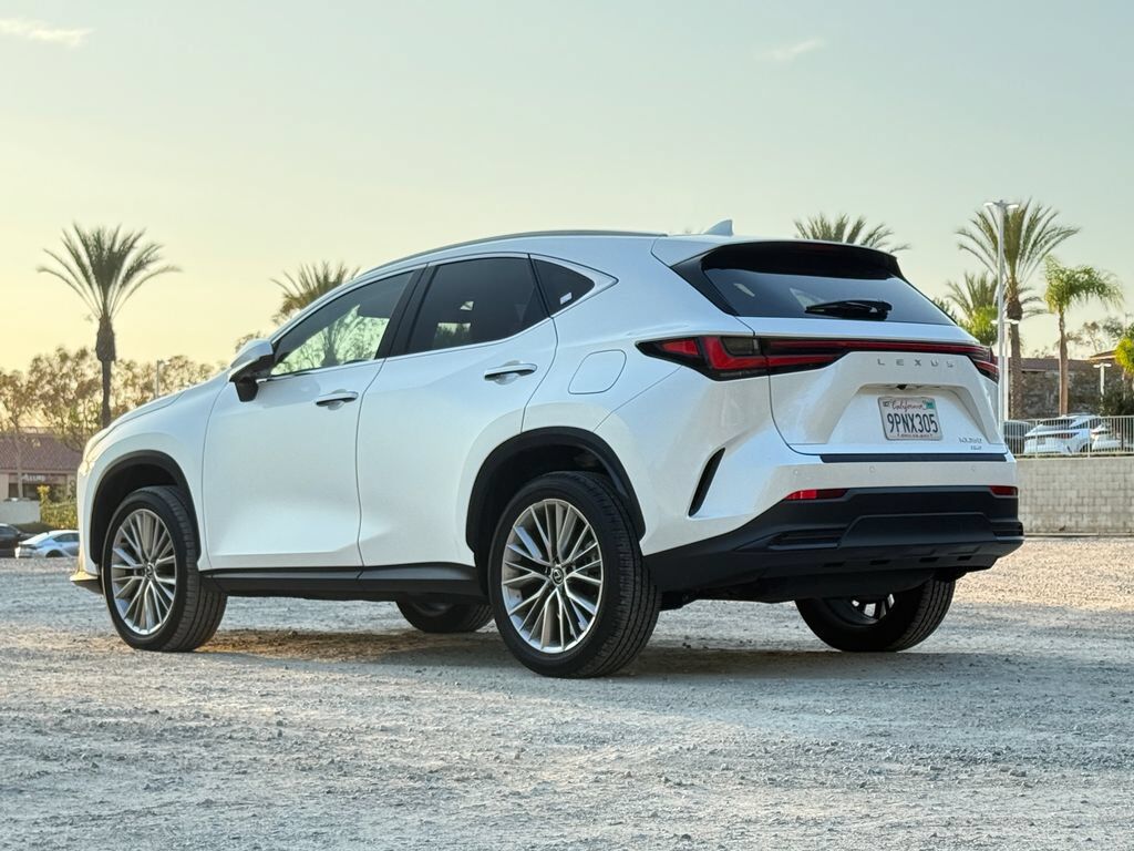 2025 Lexus NX