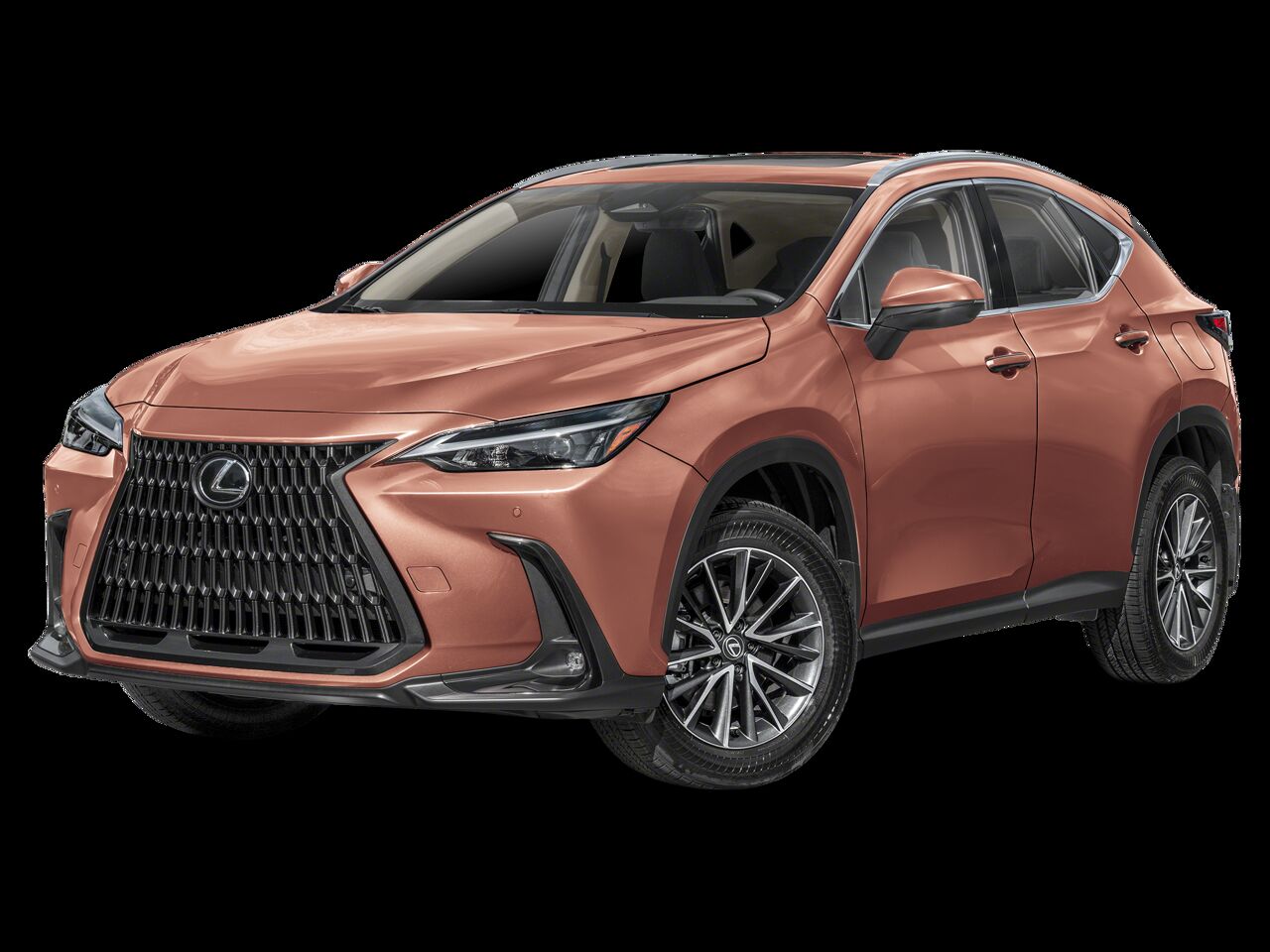 2025 LEXUS NX