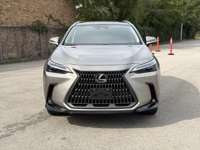 2025 Lexus NX
