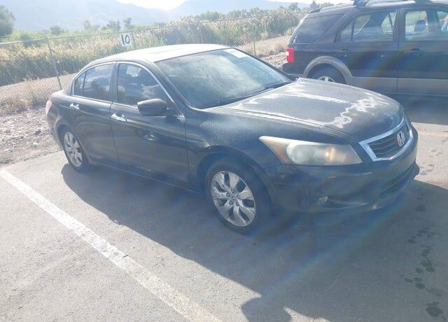 2010 HONDA Accord