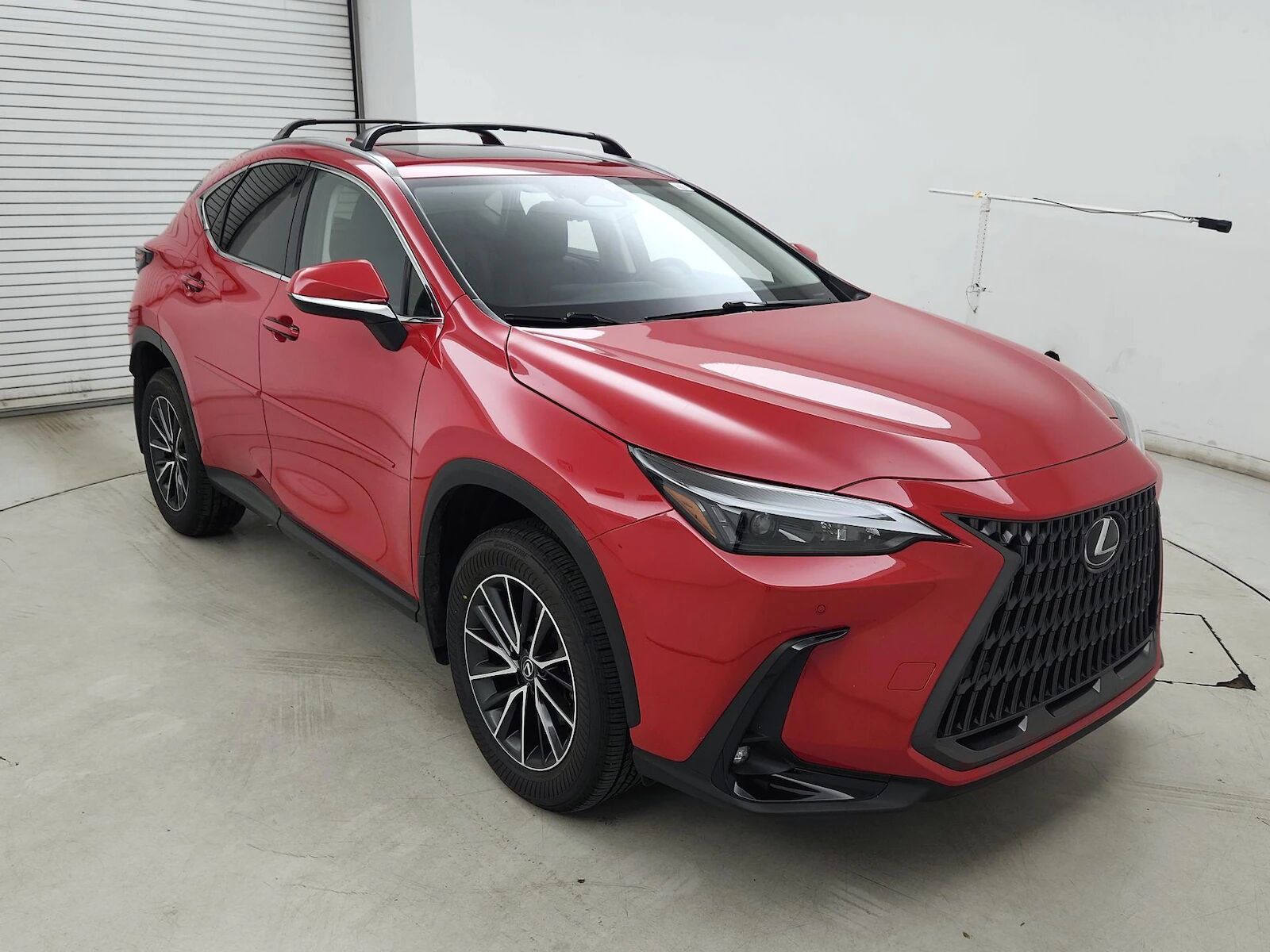 2024 LEXUS NX