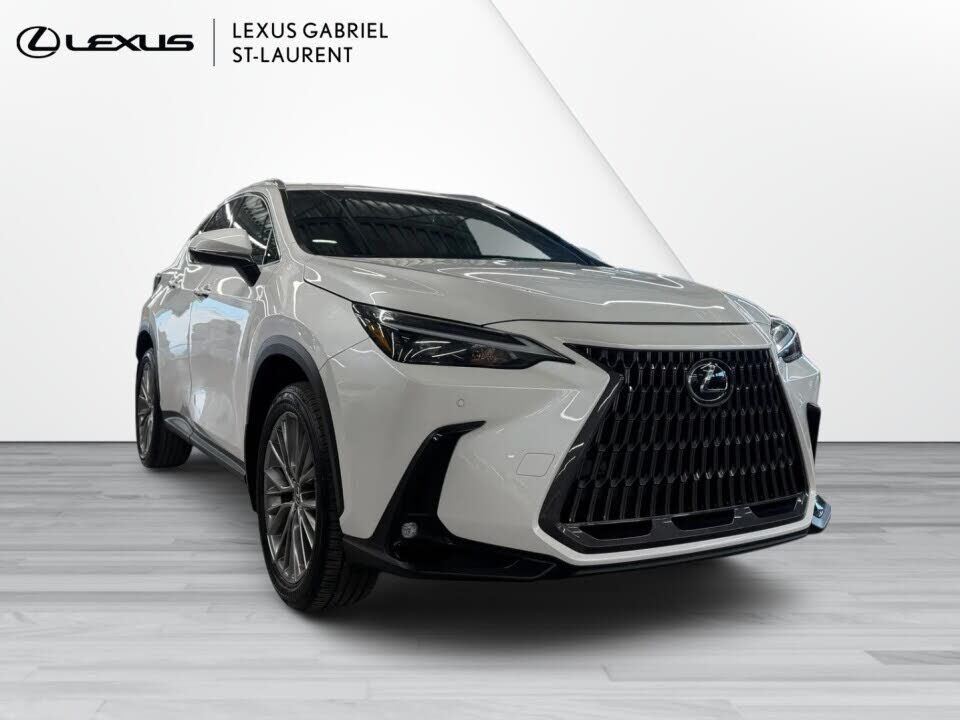 2022 Lexus NX