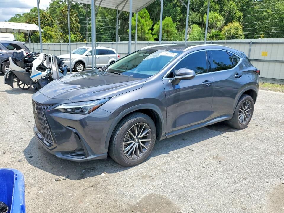 2024 LEXUS NX