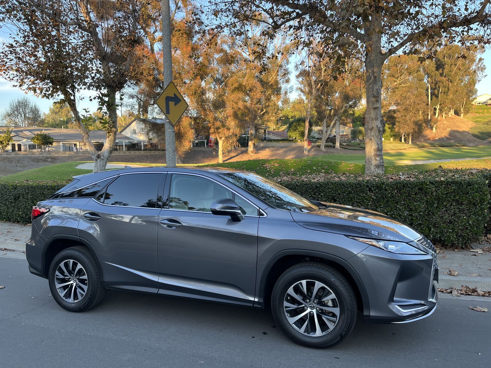 2021 LEXUS RX