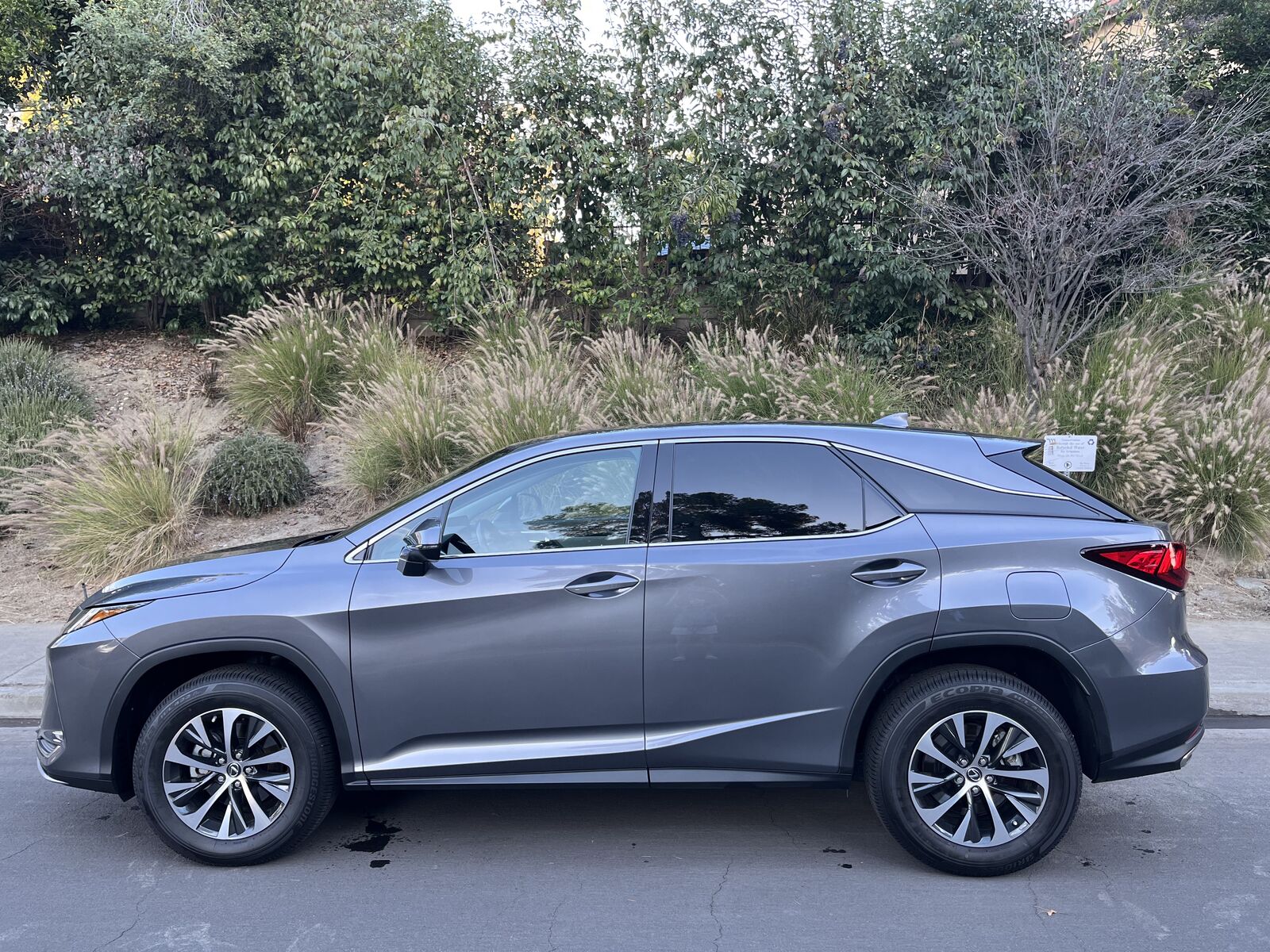 2021 Lexus RX