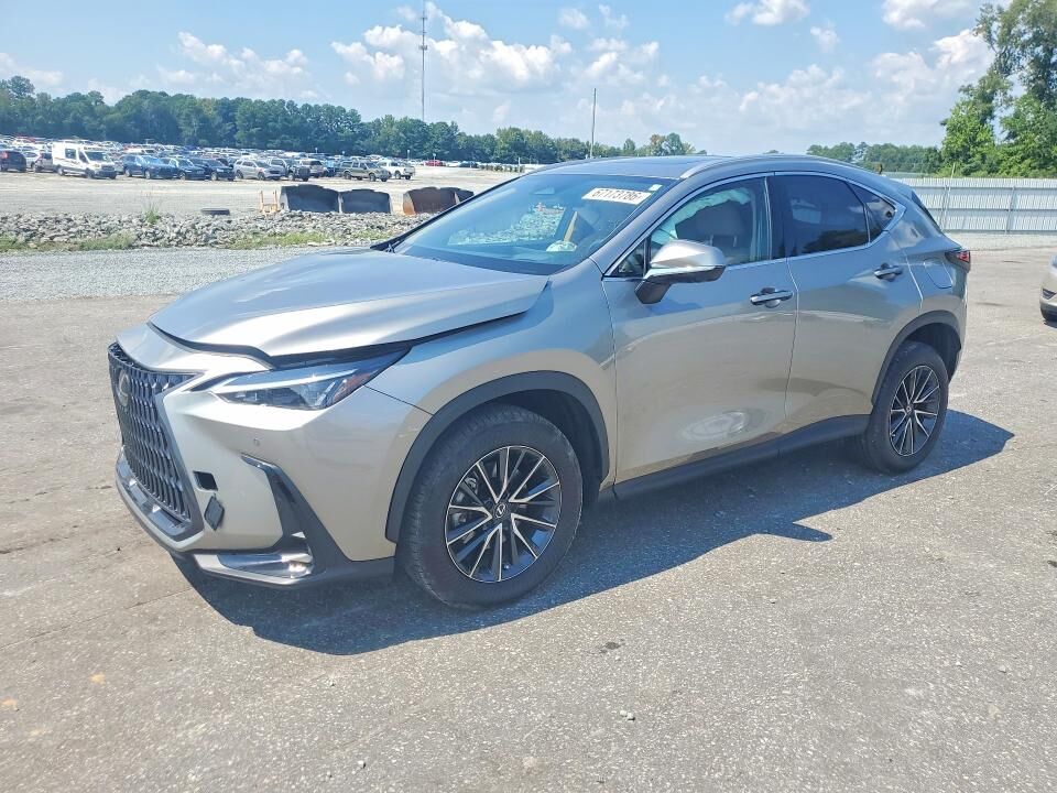 2024 LEXUS NX