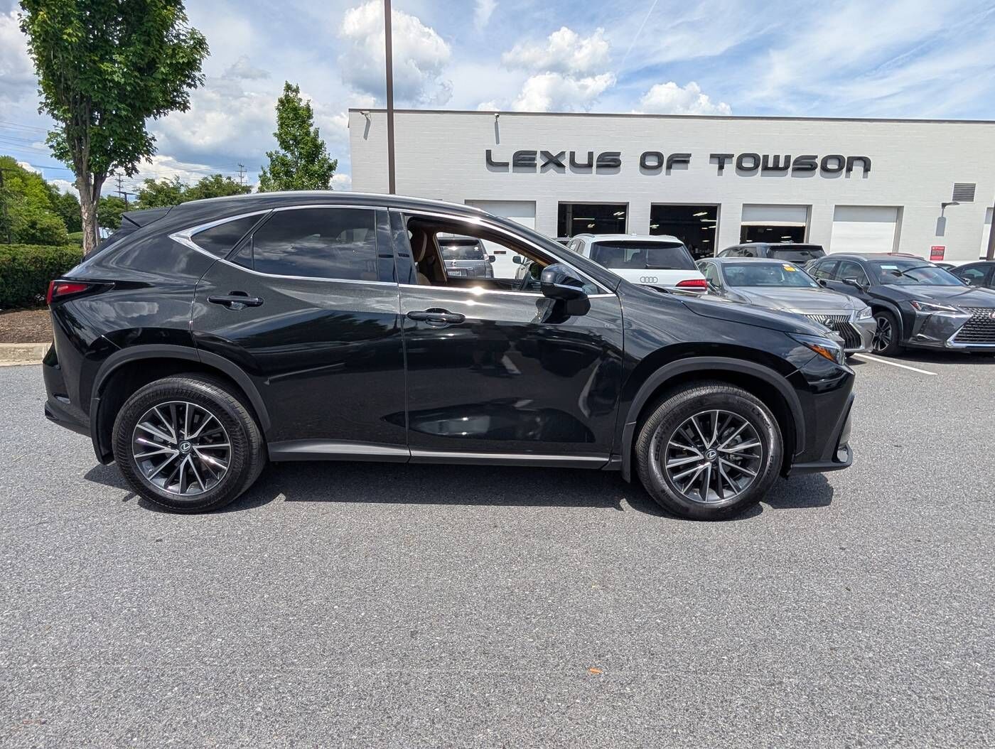 2024 Lexus NX