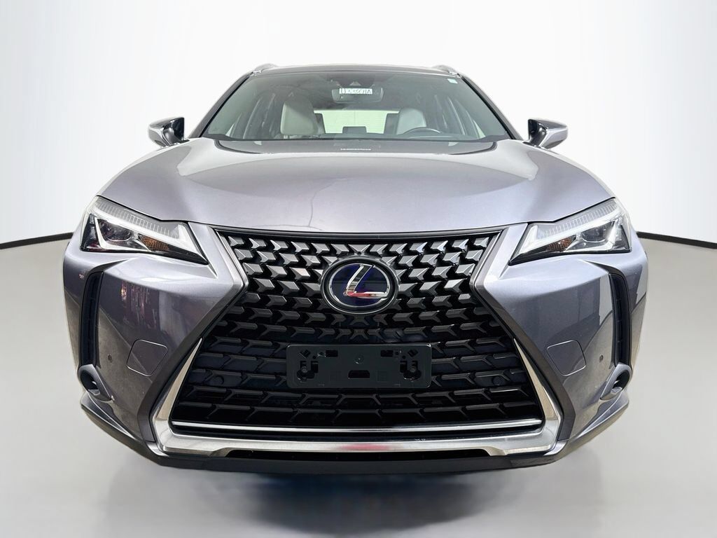 2019 Lexus UX