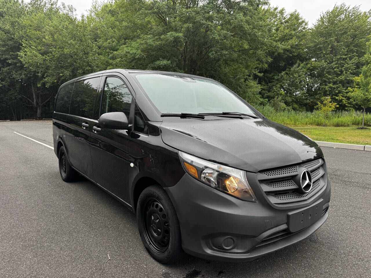2019 Mercedes-Benz METRIS