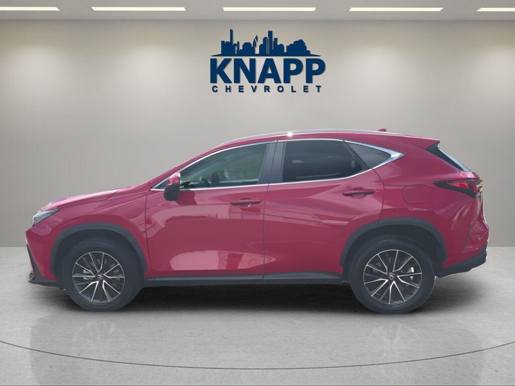2024 Lexus NX