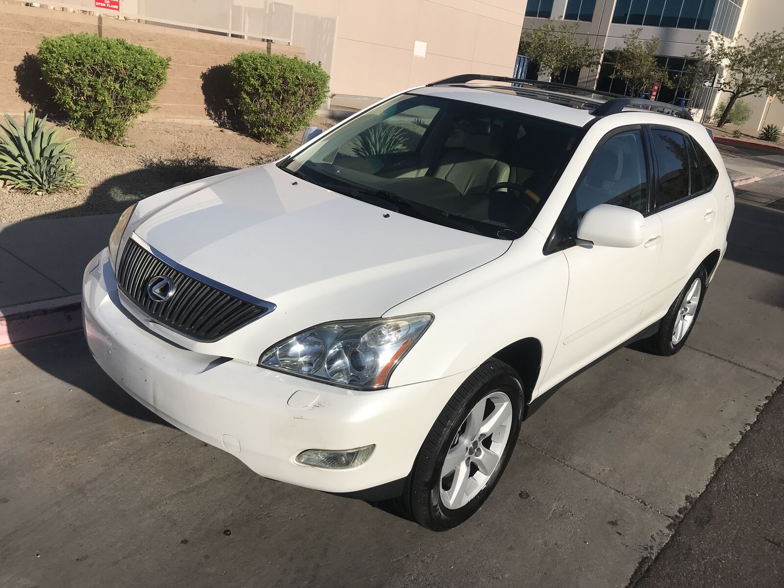 2007 Lexus RX