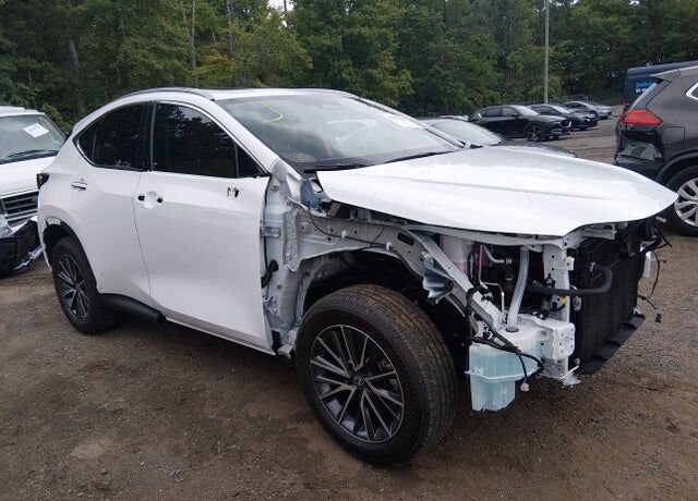 2026 LEXUS NX