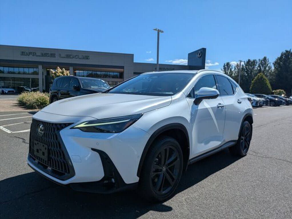 2024 LEXUS NX