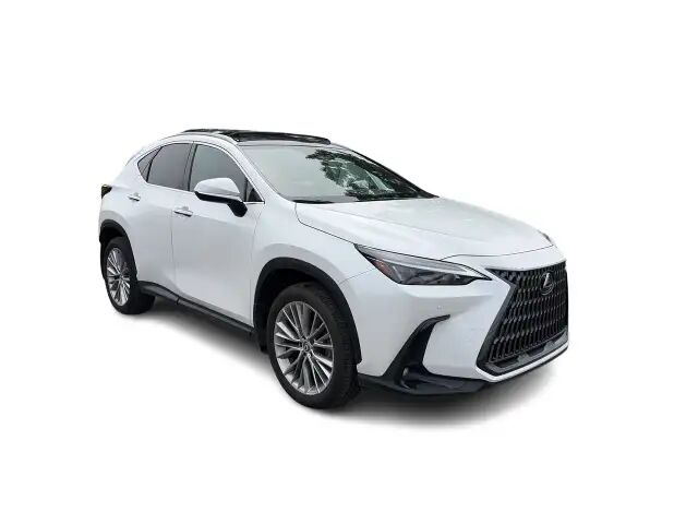 2024 Lexus NX