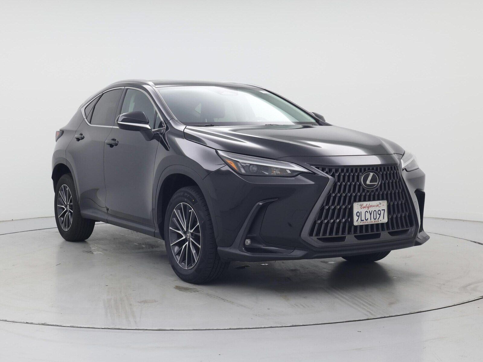 2024 Lexus NX