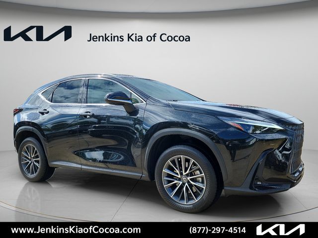 2025 LEXUS NX