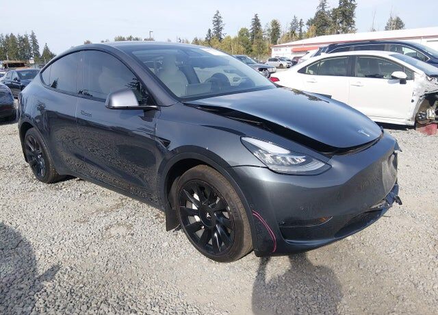2020 TESLA Model Y