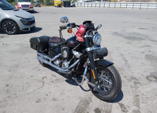 2020 HARLEY DAVIDSON FLSL / Softail Slim