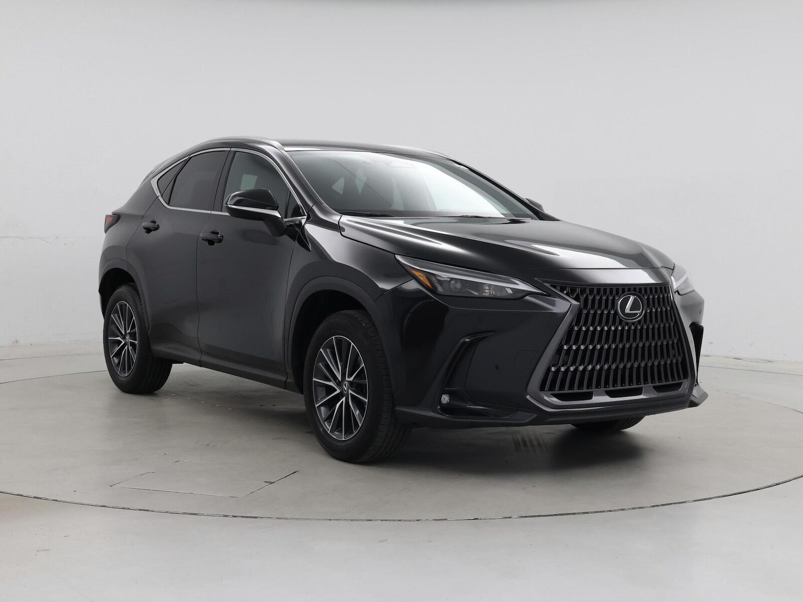 2025 Lexus NX