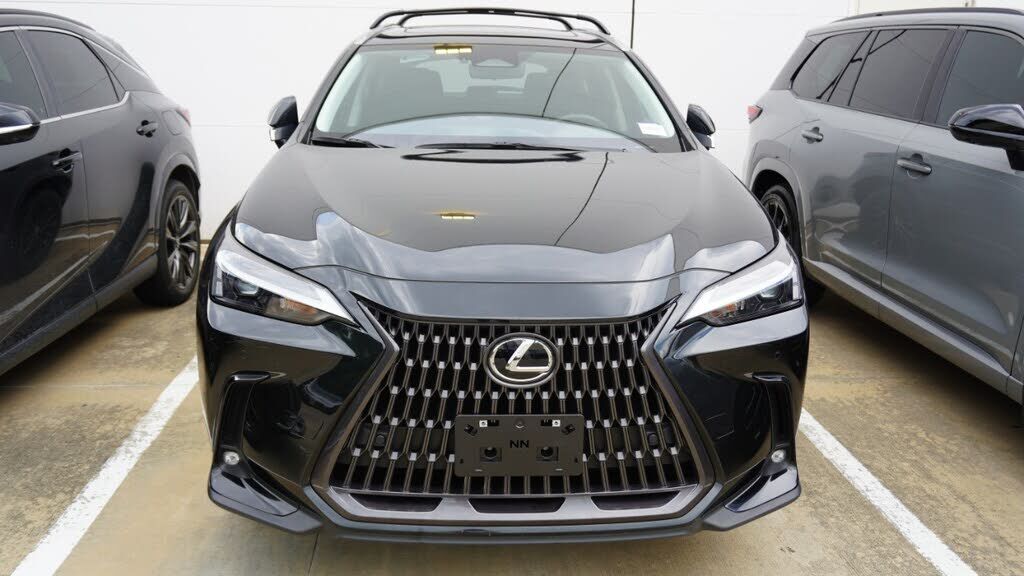 2024 Lexus NX