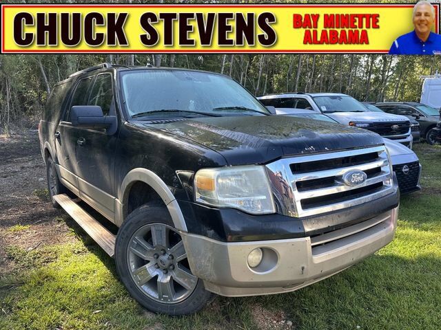 2010 FORD Expedition