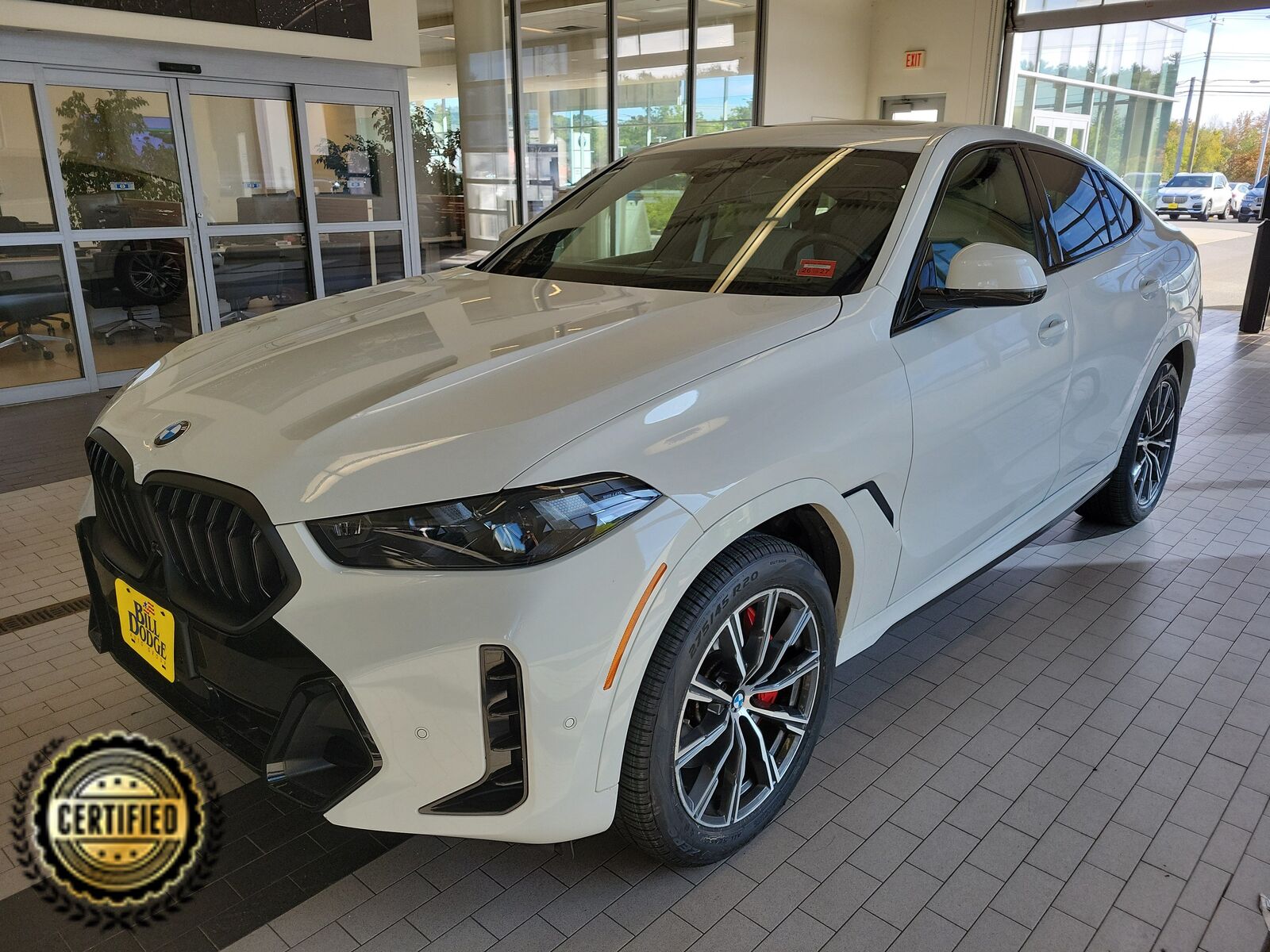 2024 BMW X6