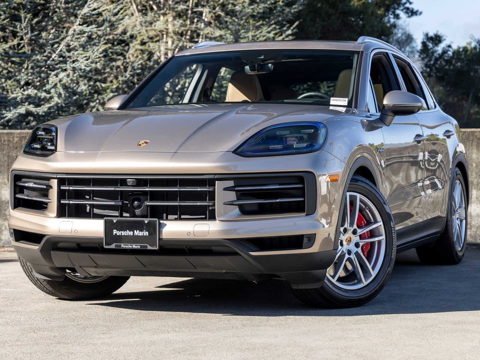 2025 PORSCHE Cayenne