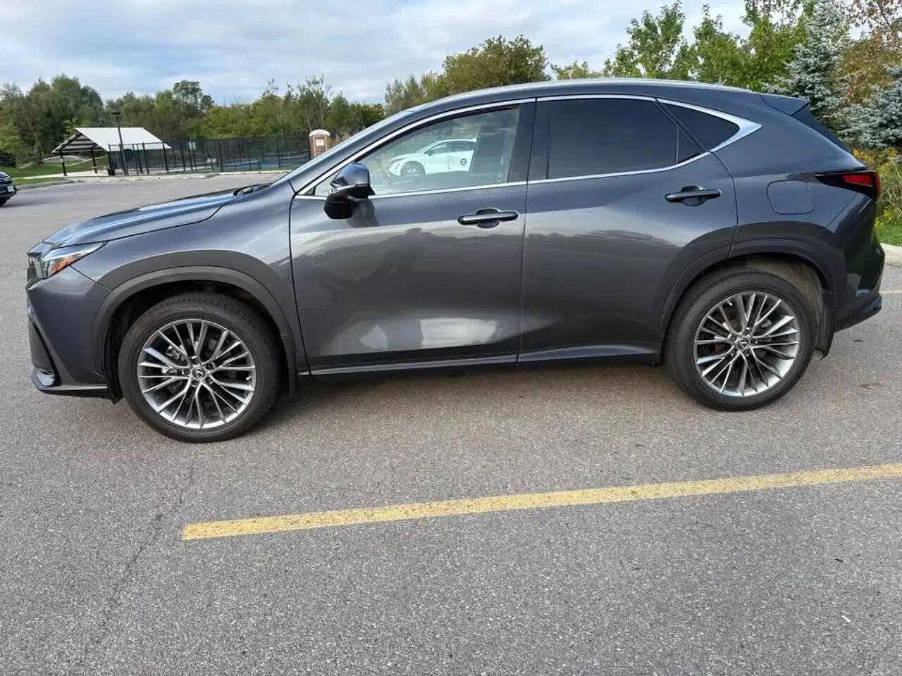 2022 Lexus NX