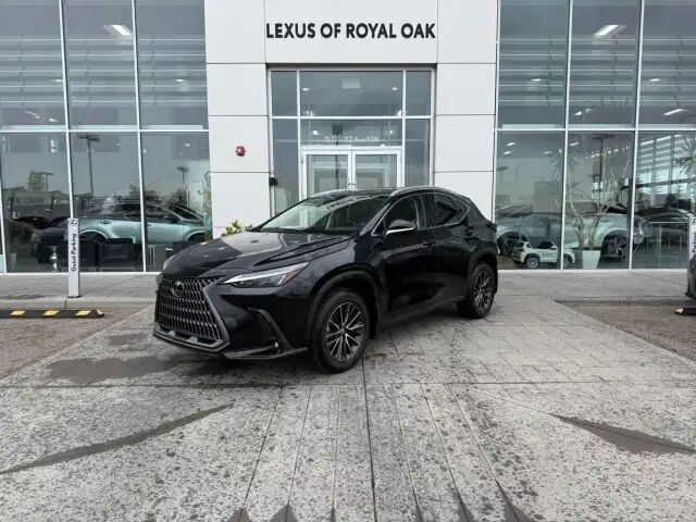 2024 Lexus NX