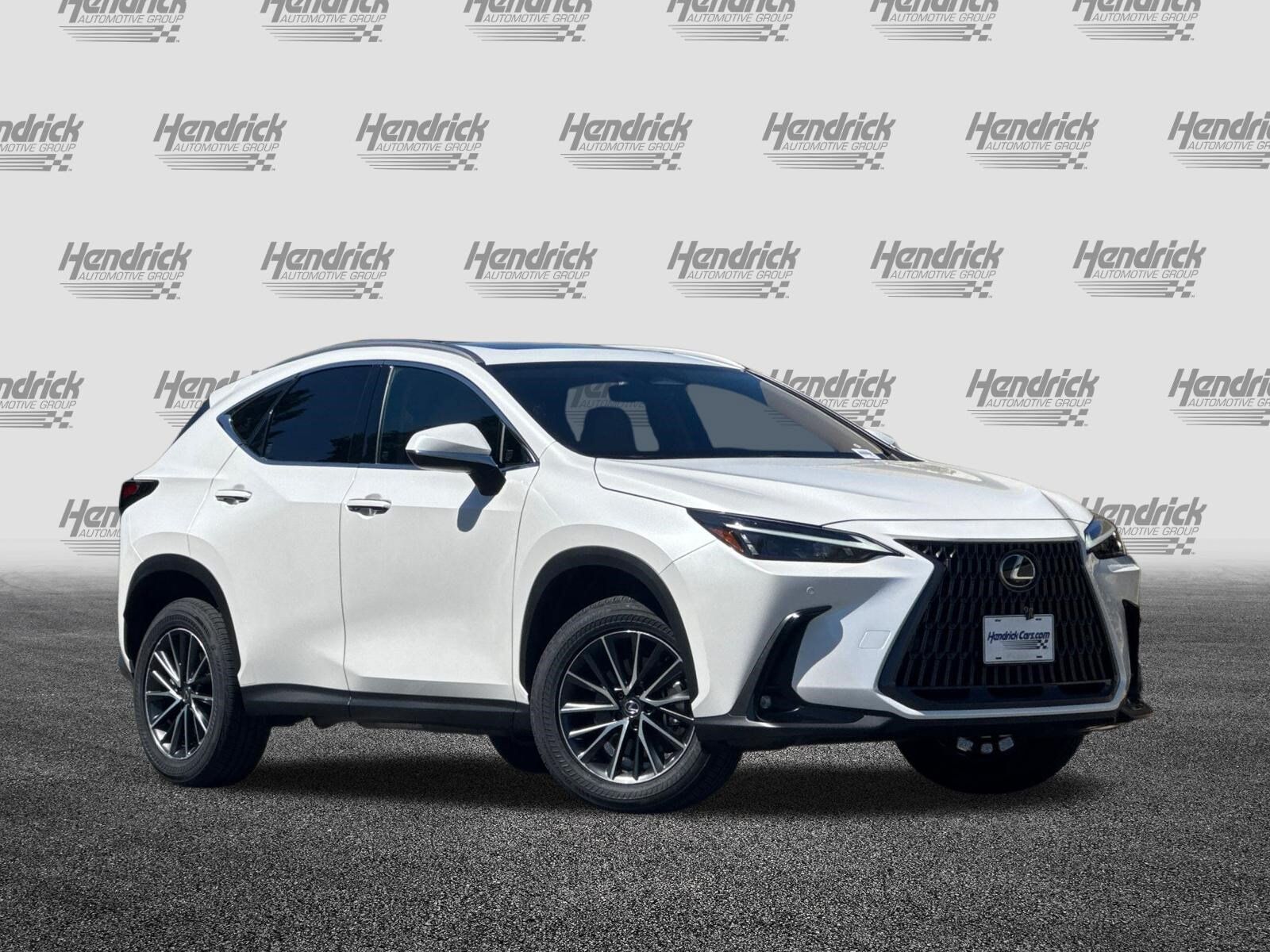 2024 Lexus NX