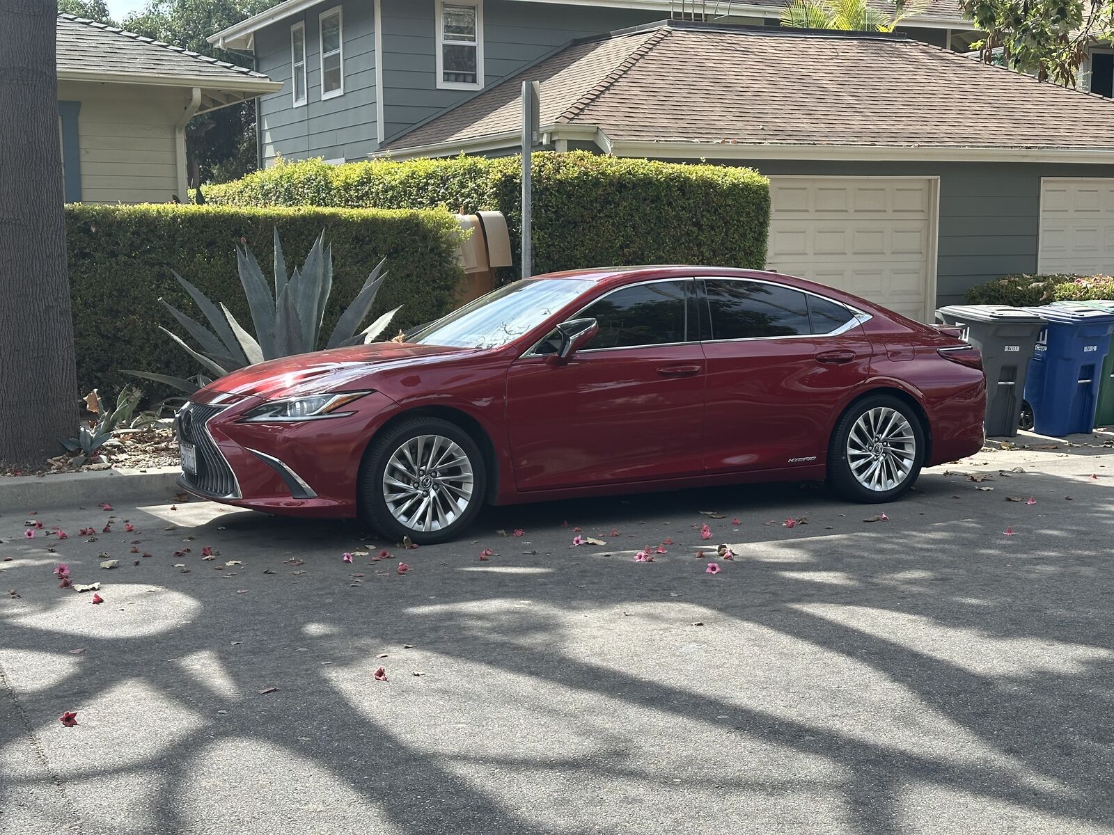 2019 LEXUS ES