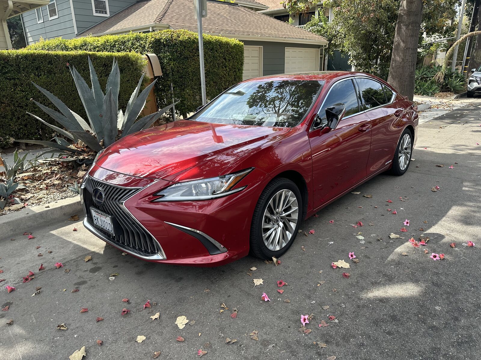 2019 Lexus ES