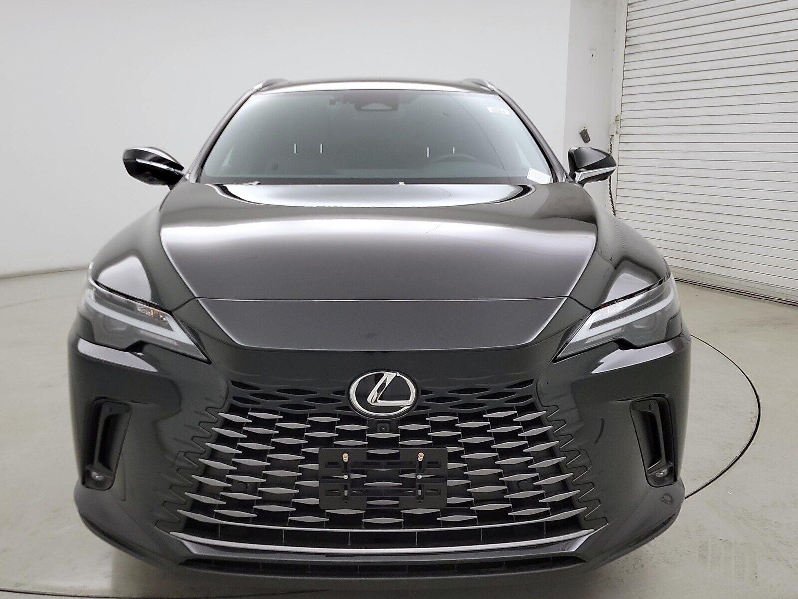 2025 Lexus RX