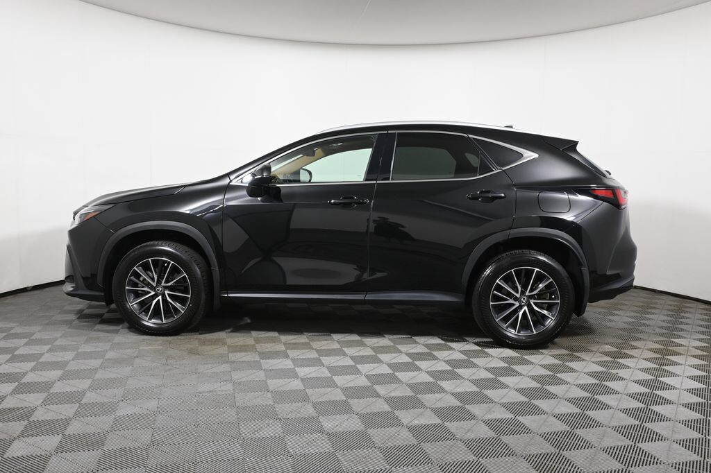 2024 Lexus NX