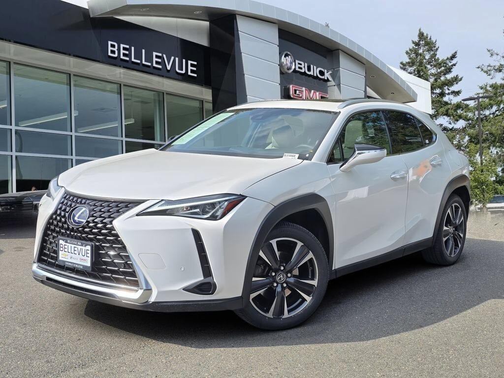 2020 LEXUS UX