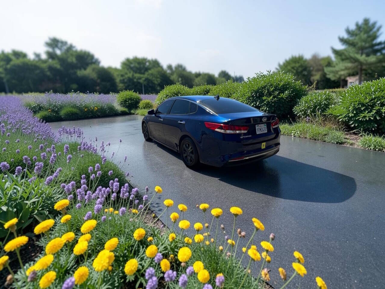 2016 KIA Optima