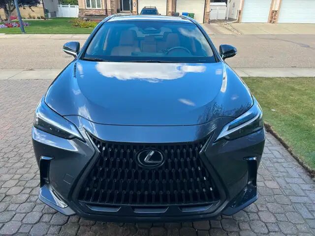 2025 Lexus NX