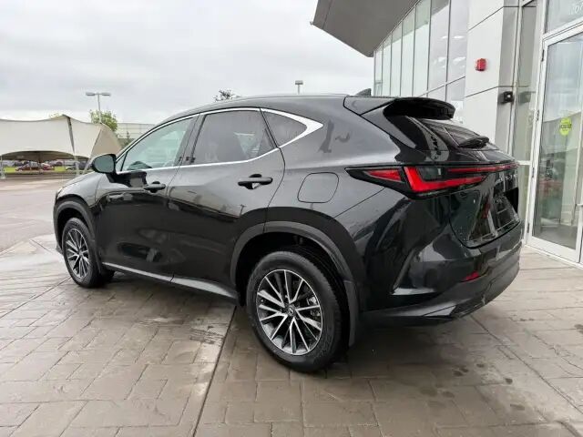 2025 Lexus NX