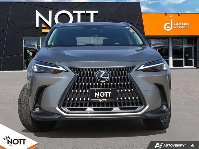 2024 Lexus NX