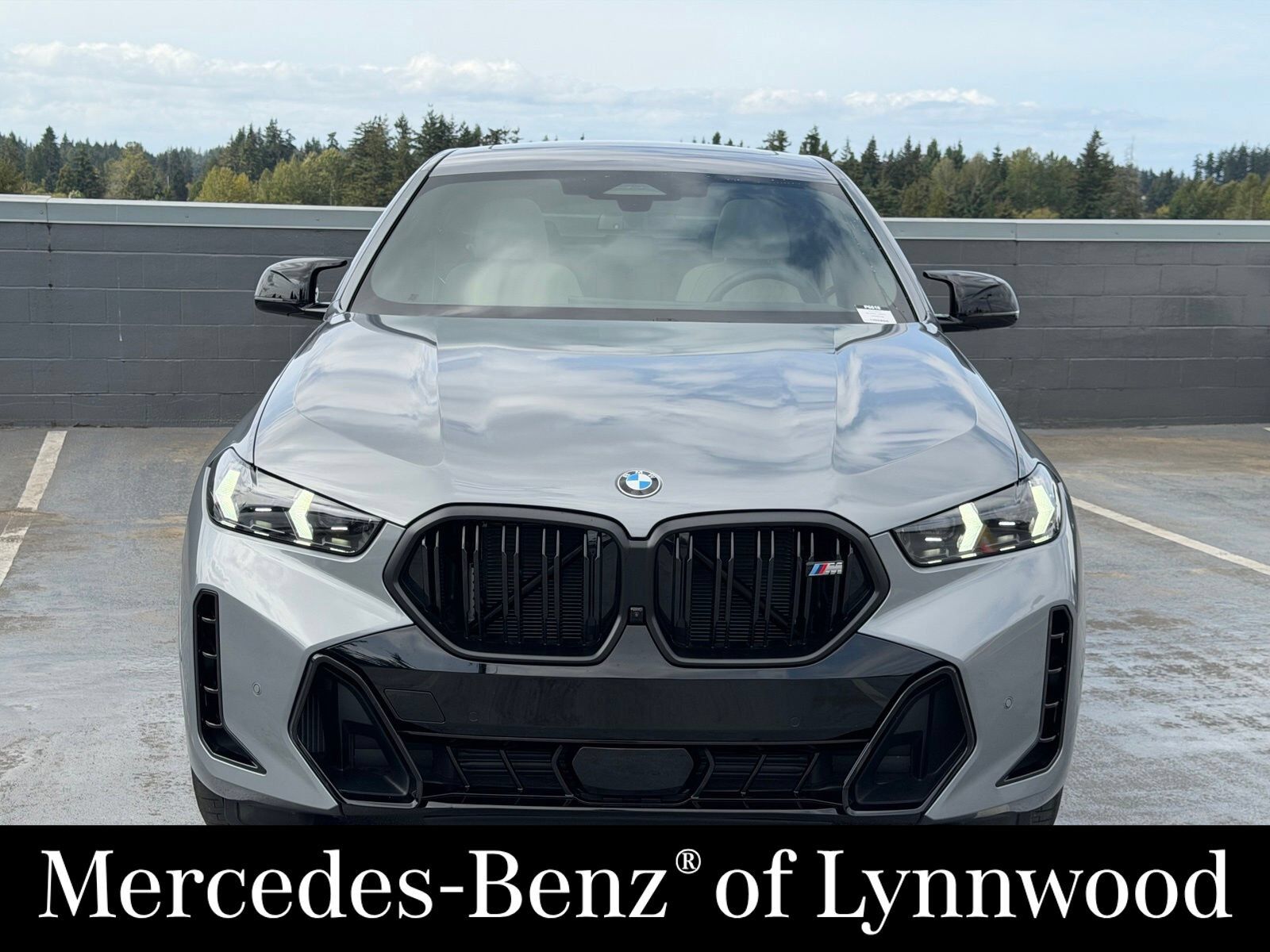 2025 BMW X6