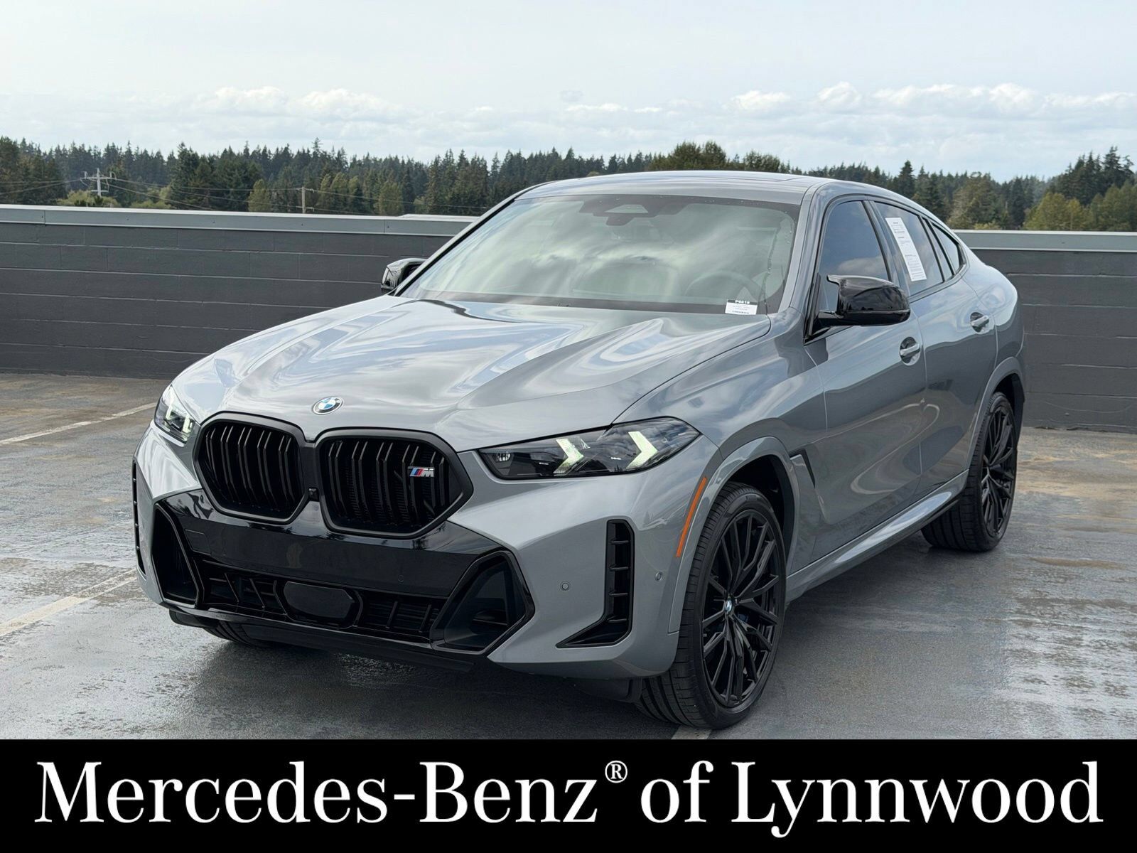 2025 BMW X6