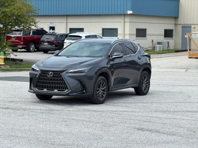2024 LEXUS NX